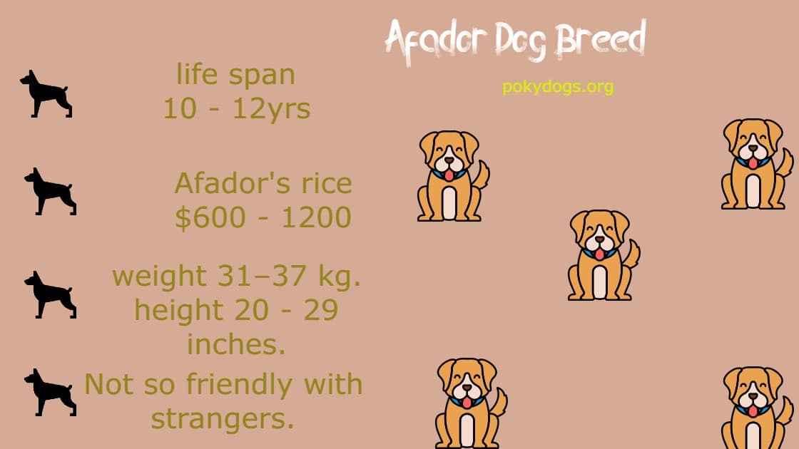 Afador Dog Breed Guide