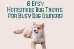 6 Easy Homemade Dog Treats For Busy Dog Owners!