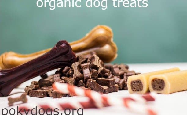 Organic Dog Treats