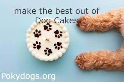 Dog Cake