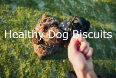 Healthy Dog Biscuits