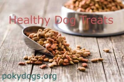 Healthy Dog Treats