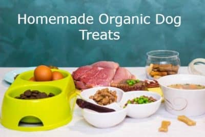 Homemade Organic Dog Treats