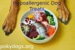 Hypoallergenic Dog Treats