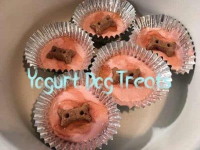 Yogurt Dog Treats