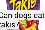Can dogs eat takis?
