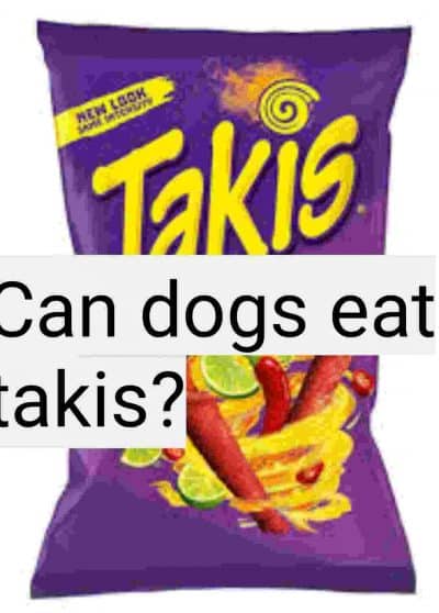 Can dogs eat takis?
