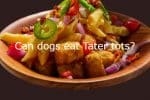 Can dogs eat Tater tots?