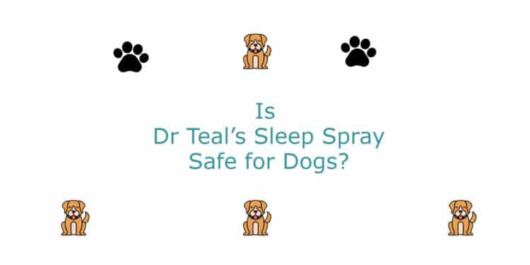 Is Dr Teal’s Sleep Spray Safe for Dogs?