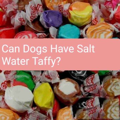Can Dogs Have Salt Water Taffy?