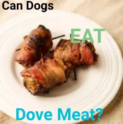 Can Dogs Eat Dove Meat