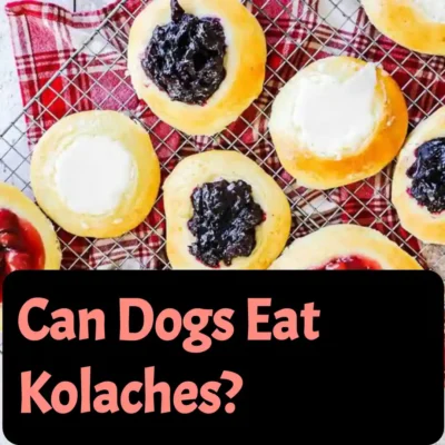 Can Dogs Eat Kolaches?