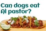 Can dogs eat Al pastor?