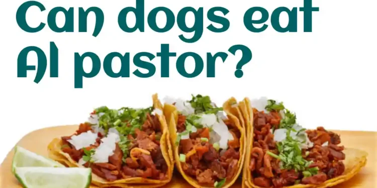Can dogs eat Al pastor?