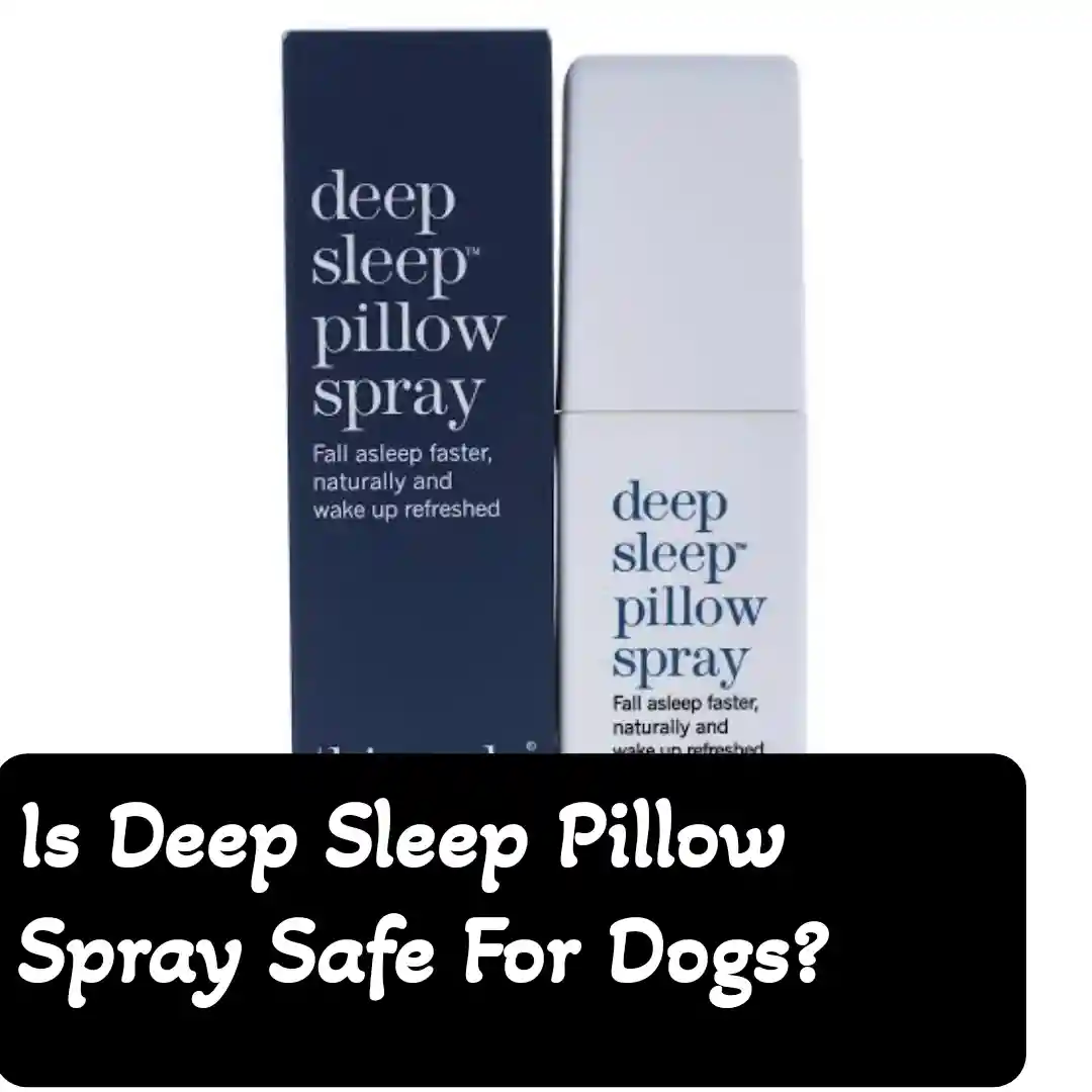 Picture of Is Deep Sleep Pillow Spray Safe For Dogs? - PokyDogs