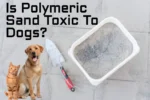 Is Polymeric Sand Toxic To Dogs?