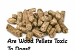 Are Wood Pellets Toxic To Dogs?