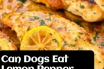 Can Dogs Eat Lemon Pepper Chicken?