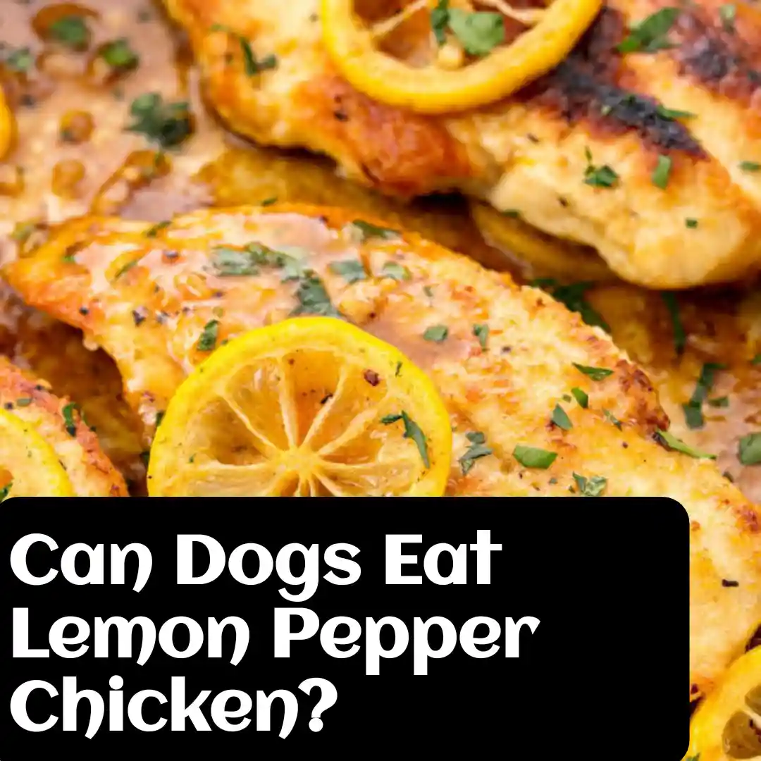 Lemon Pepper Chicken And Dogs Safety Concerns Explored