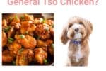 Can Dogs Have General Tso Chicken?