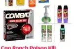 Can Roach Poison Kill Dogs?