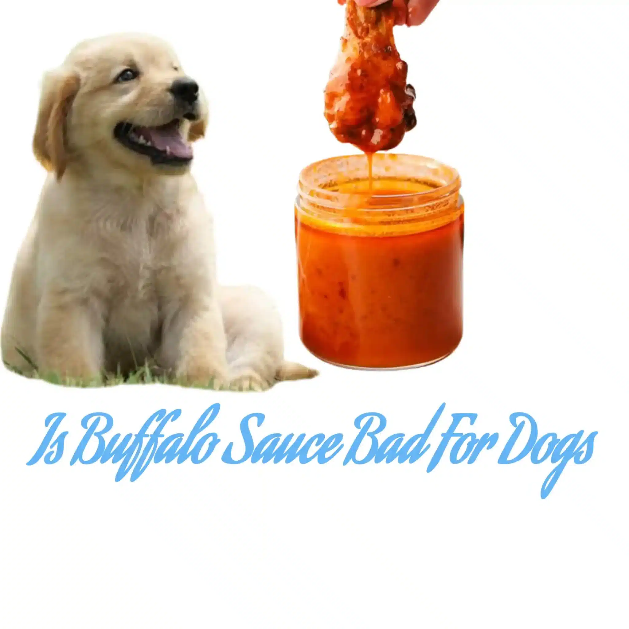 Buffalo Sauce Health Risks For Dogs Unveiled