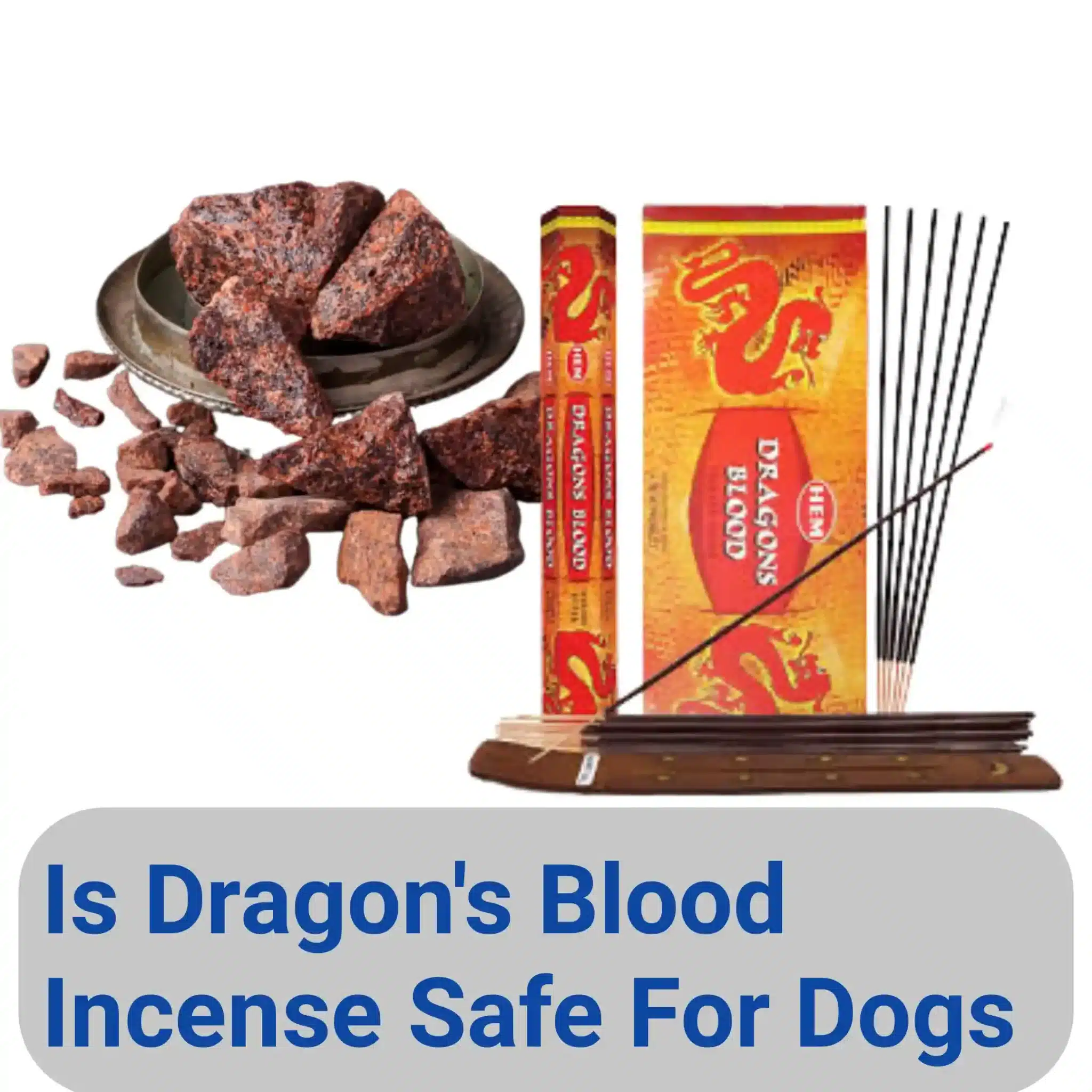 Is Dragon's Blood Incense Safe For Dogs - PokyDogs