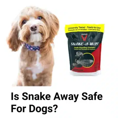 Is Snake Away Safe For Dogs?