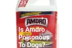 Is Amdro Poisonous To Dogs?