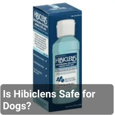 Is Hibiclens Safe for Dogs?