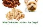 What To Put On Lick Mat For Dogs?