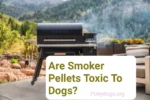 Are Smoker Pellets Toxic To Dogs?