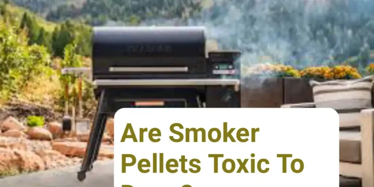 Are Smoker Pellets Toxic To Dogs?