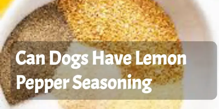 Can Dogs Have Lemon Pepper Seasoning
