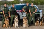 Canine Careers Customs Border Protection