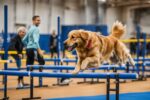 Canine Rehabilitation Therapy