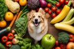 Canine Weight Management