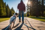Dealing with Leash Reactivity