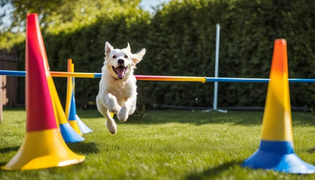 Agility jump Agility jump