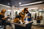 Dog Grooming for Anxiety-Prone Dogs