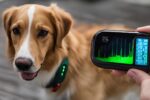 Dog Health Tracker
