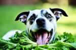 can dogs eat mustard greens
