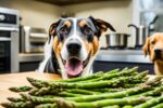 can a dog eat asparagus