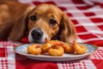 can dogs eat fried shrimp