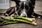 is asparagus bad for dogs