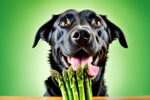 can dogs eat asparagus cooked