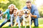 benefits of adopting a dog